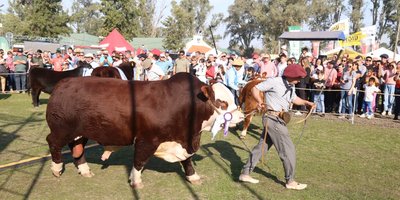 WhatsApp Image 2023-08-07 at 07.33.48.jpeg