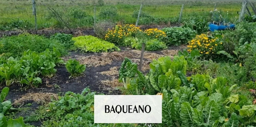 MUNICIPALIDAD E INTA ORGANIZAN LA SEGUNDA CHARLA  DEL CICLO "POTENCIÁ TU HUERTA"