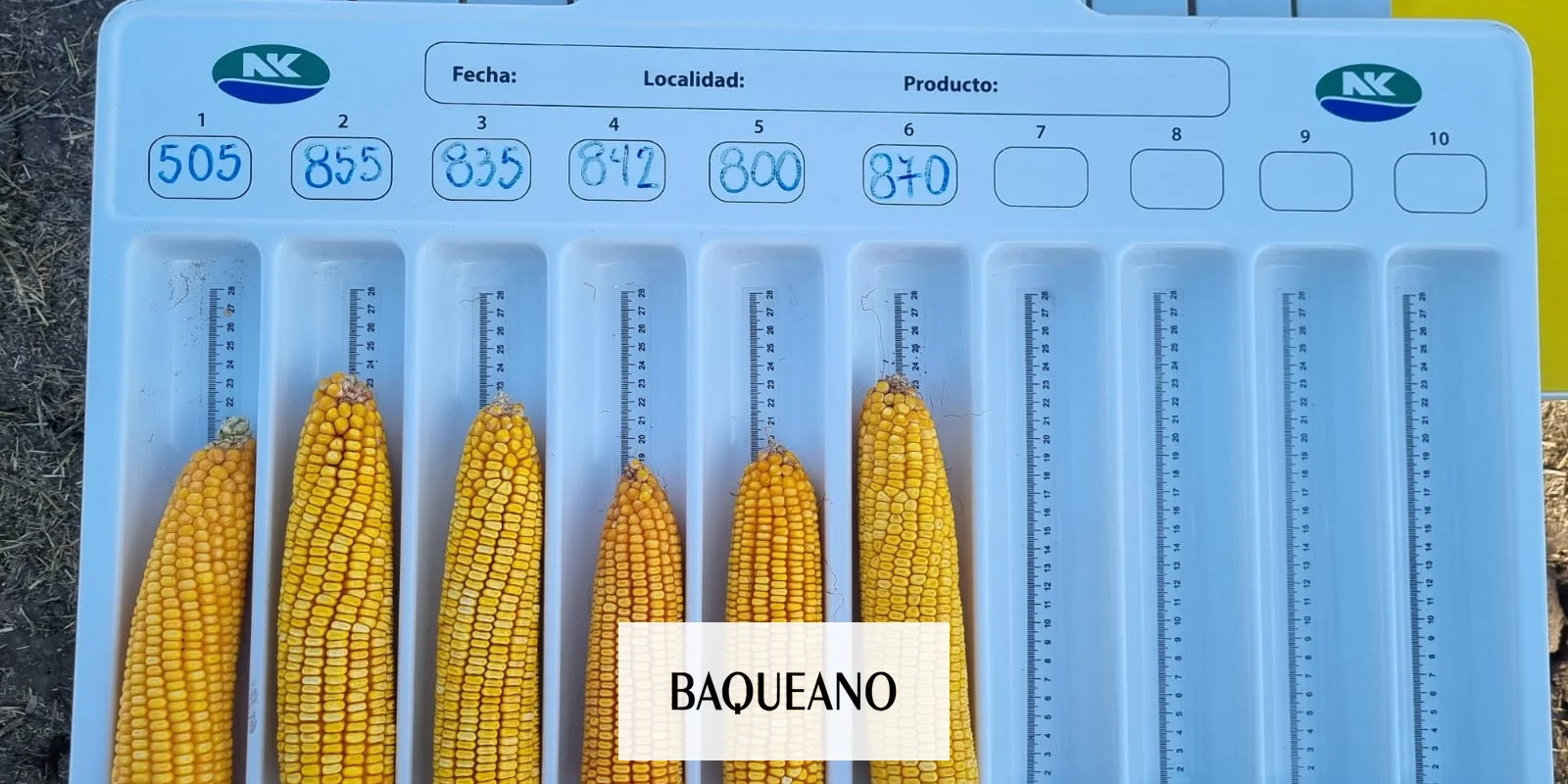 BERARDO AGROPECUARIA REALIZÓ UNA JORNADA TECNICA DE MAÍZ