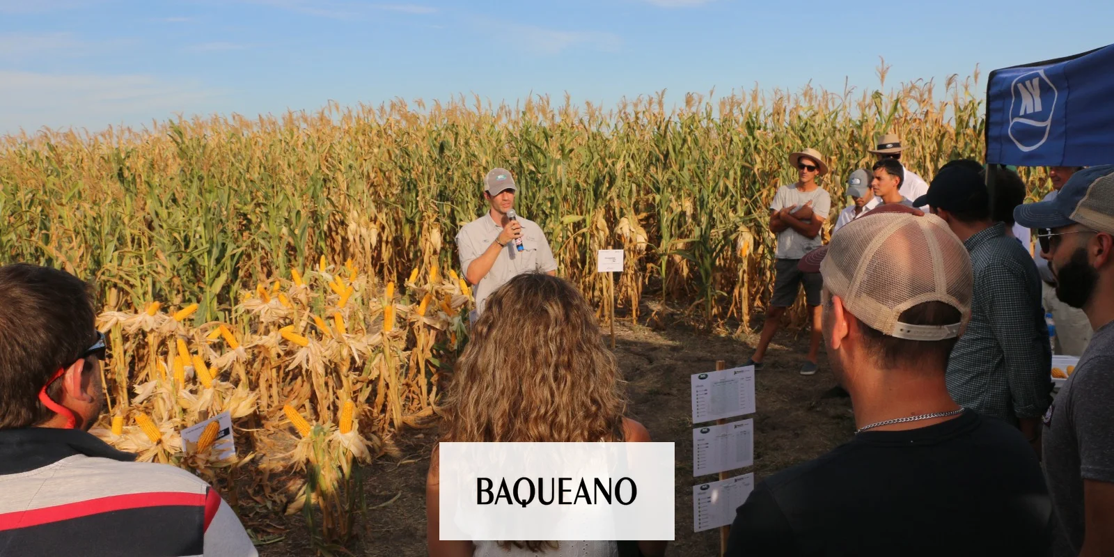 BERARDO AGROPECUARIA REALIZÓ UNA JORNADA TECNICA DE MAÍZ