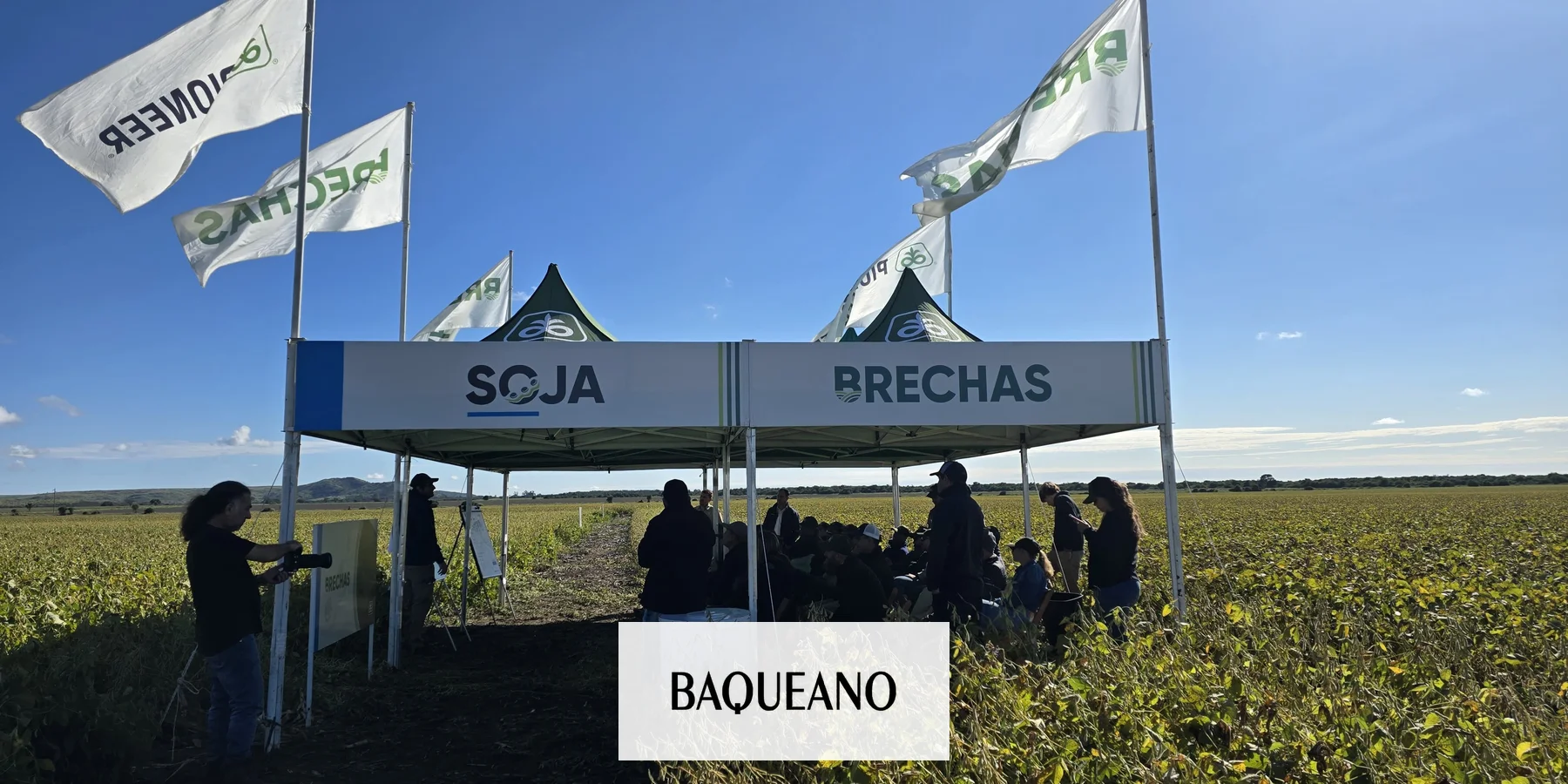 Proyecto Brechas