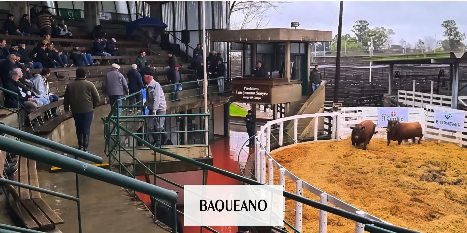Éxito en el primer remate de Cabaña El Cerrillo en Gualeguaychú