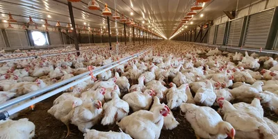 WhatsApp Image 2026-03-11 at 17.44.12 (2)