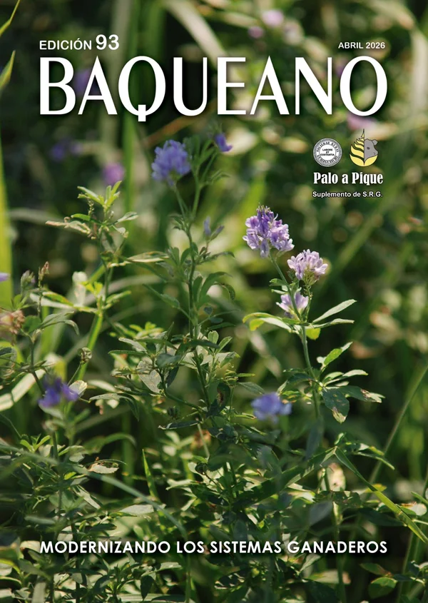 Portada - Baqueano