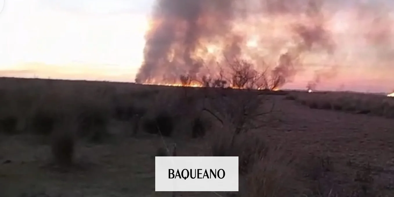 Tras los incendios en el delta, el productor isleño y miembro de Sociedad rural San Pedro advierte sobre los desafíos de la actividad
