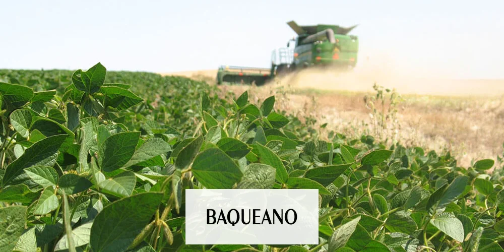 Una herramienta  para controlar  las enfermedades que afectan a la semilla de soja durante la germinación