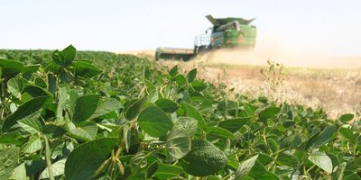 agricultura-soja-infocampo.jpg