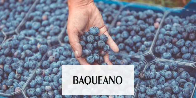 Con hongos, mejorarían la producción nacional de arándanos