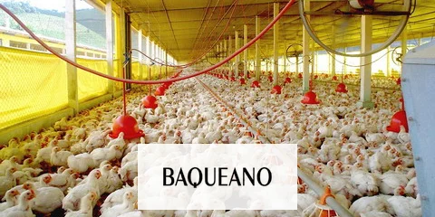 Buena noticia para Entre Ríos: se confirmó la reapertura del mercado chino para la avicultura