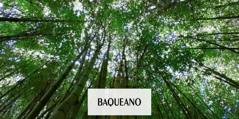 El bambú se expande entre las cabañas del Delta bonaerense