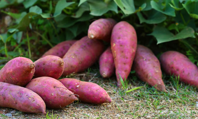 batatas.png