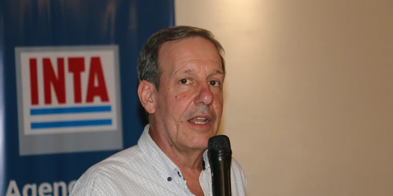 calot buena.jpg