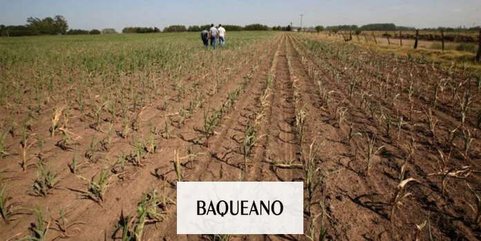 Proyecto de las Lagunas Pampeanas en campos agrícolas del área núcleo.