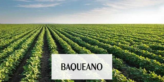 "En esta campaña el negocio será productivo, no financiero"