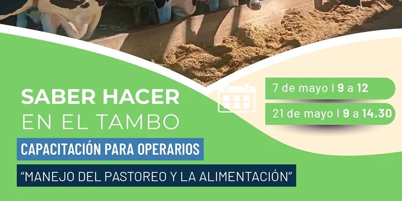 curso