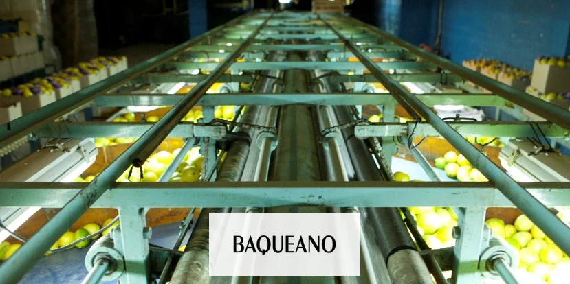 Trazabilidad citrícola: Se controlará el stock de las frutas en los empaques