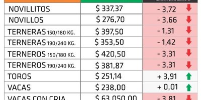 farer septiembre.jpg