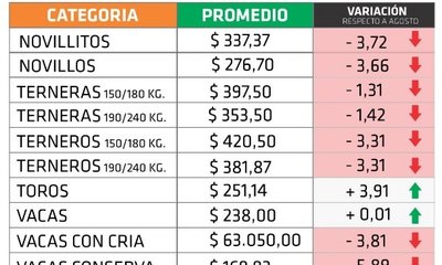 farer septiembre.jpg