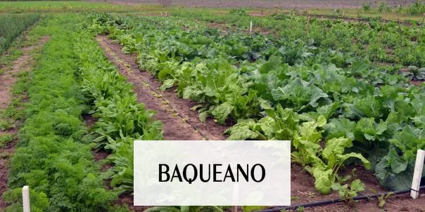 Seminario “Paisaje urbano y periurbano productivos”