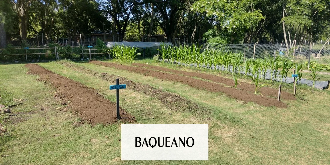 MUNICIPALIDAD E INTA INVITAN A PARTICIPAR  DEL TALLER “POTENCIÁ TU HUERTA”