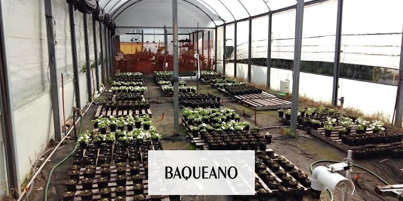 Nuevos conocimientos para la alegría del hogar