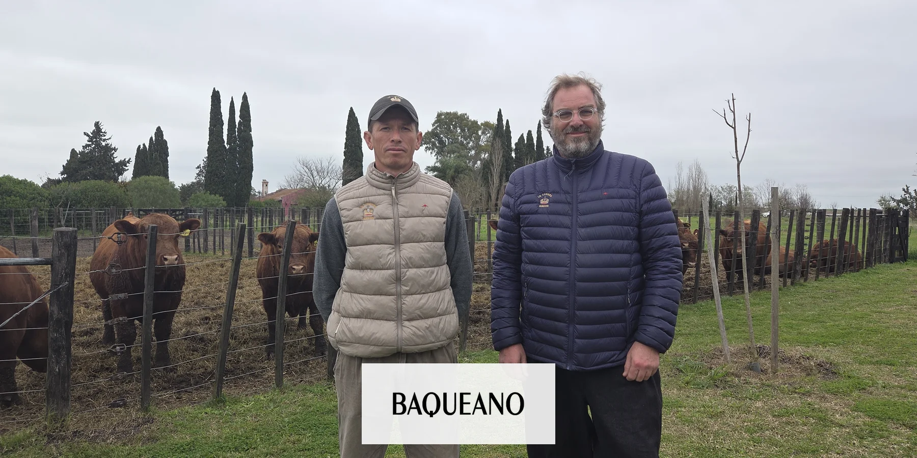 Raíces y Genética: La Evolución de una Cabaña Angus en Perdices