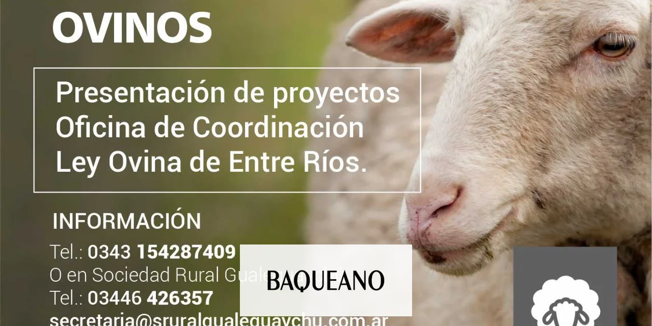 Nuevo llamado para acceder a financiamiento por la Ley OVINA