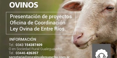 ley ovina.jpeg