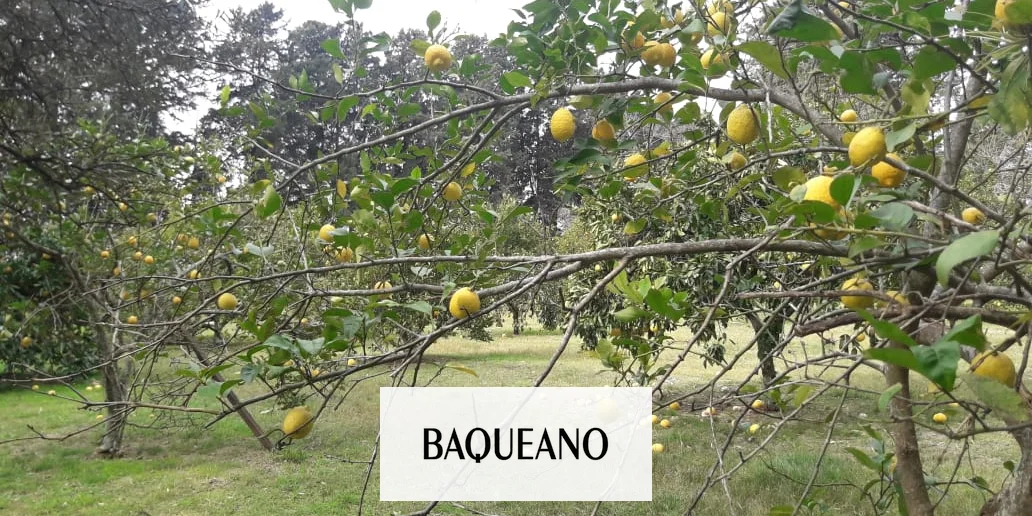 Entre Ríos: Jornada de actualización de BPA en la producción fruti-hortícola