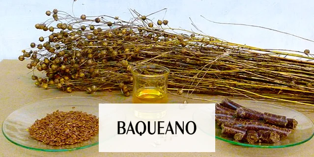 LINO COMO ESPECIALIDAD GOURMET