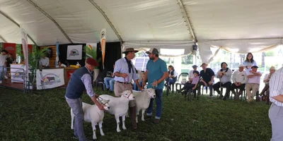 Octava Expo Ovina en Urdinarrain