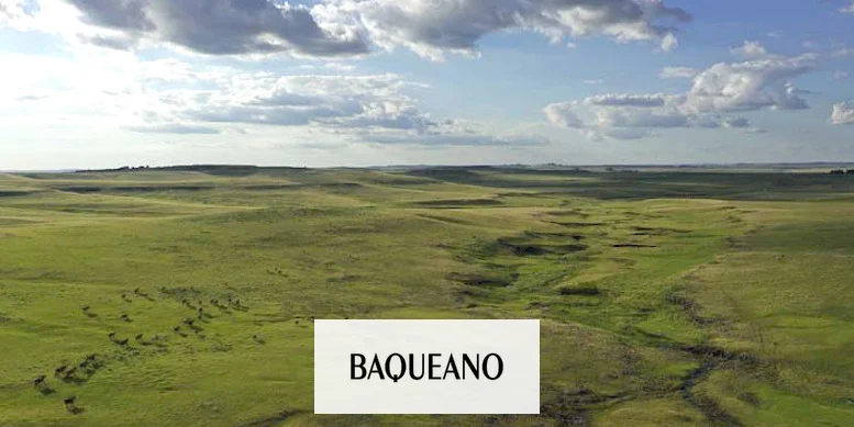 Pastorear los pastizales del Río de la Plata conserva el carbono del suelo