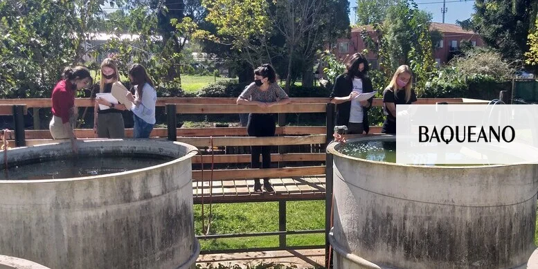 Multiplican la lucha contra el dengue con peces nativos
