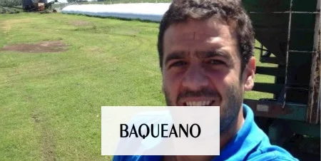 El maíz pisingallo busca explotar en la Argentina
