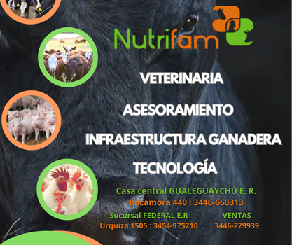 veterinaria, asesoramiento, infraestructura