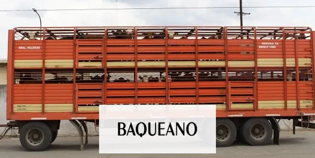 Brindan precisiones sobre lo que hay que saber del nuevo sistema para transportar hacienda