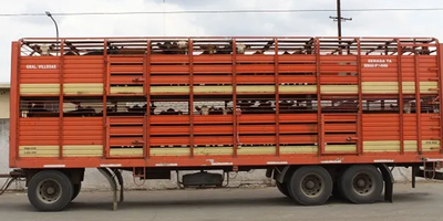rosgan_faena_argentina_agrofy_news.webp