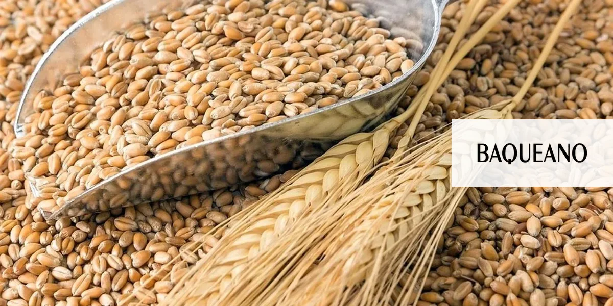 ¿Qué pierde el campo argentino con la reciente norma sobre cultivares?