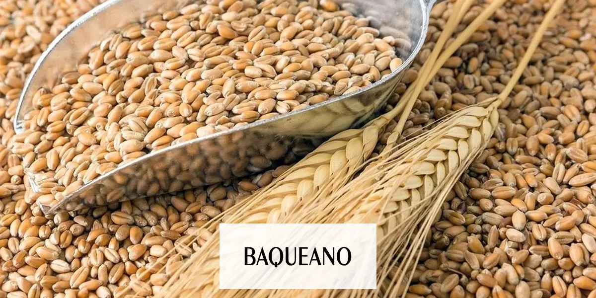 ¿Qué pierde el campo argentino con la reciente norma sobre cultivares?