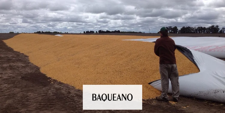 Los ataques a silo bolsas siguen ocurriendo