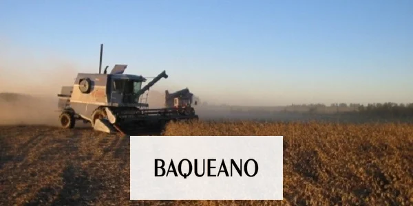 Campaña histórica en Entre Ríos: la producción agrícola superó las 10 millones de toneladas y se proyecta un "Niño" moderado a fuerte
