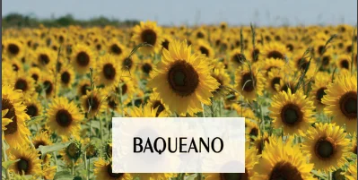 BAQUEANO DE INVIERNO