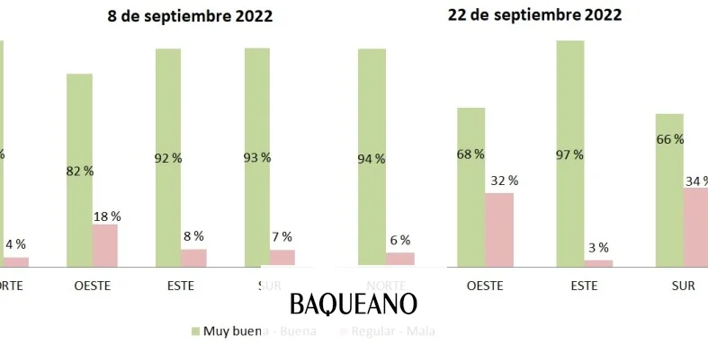 Trigo: se estima una caída de 200 kg/ha en el rinde potencial