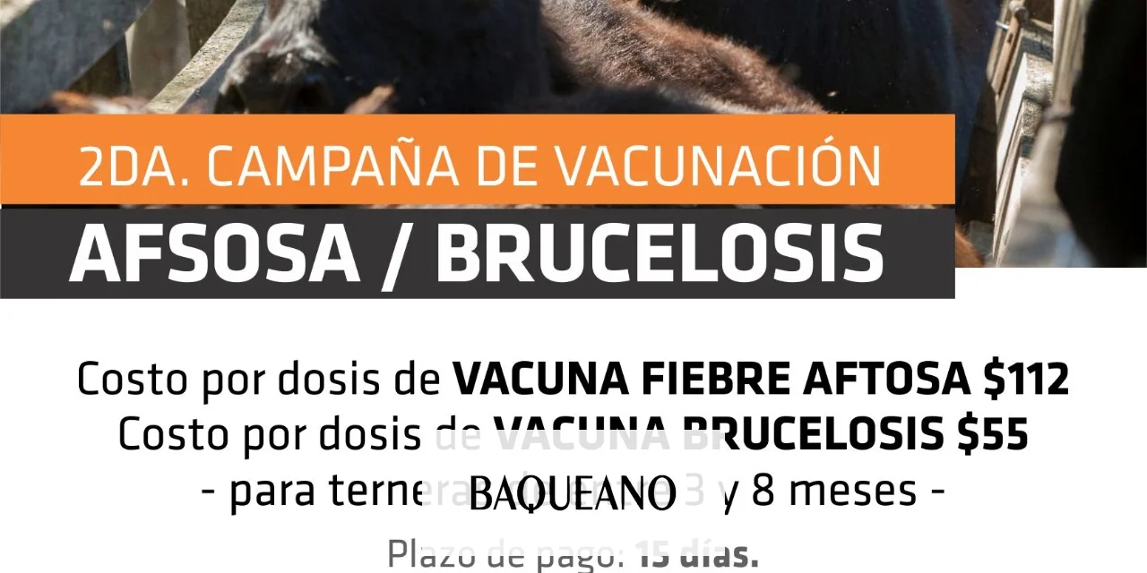 El 13 de octubre comienza la segunda campaña de vacunación para aftosa y brucelosis