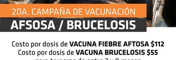 vacunación aftosa.jpeg
