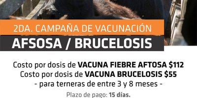 vacunación aftosa.jpeg
