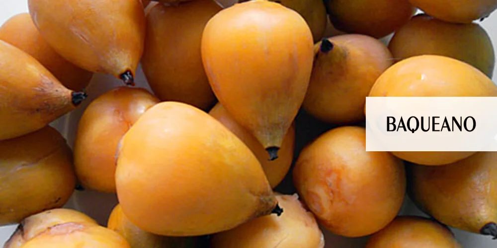 Se incorporó el fruto de la palmera yatay al Código Alimentario Argentino