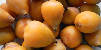 yatay-fruto-exotico.jpg