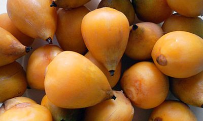 yatay-fruto-exotico.jpg